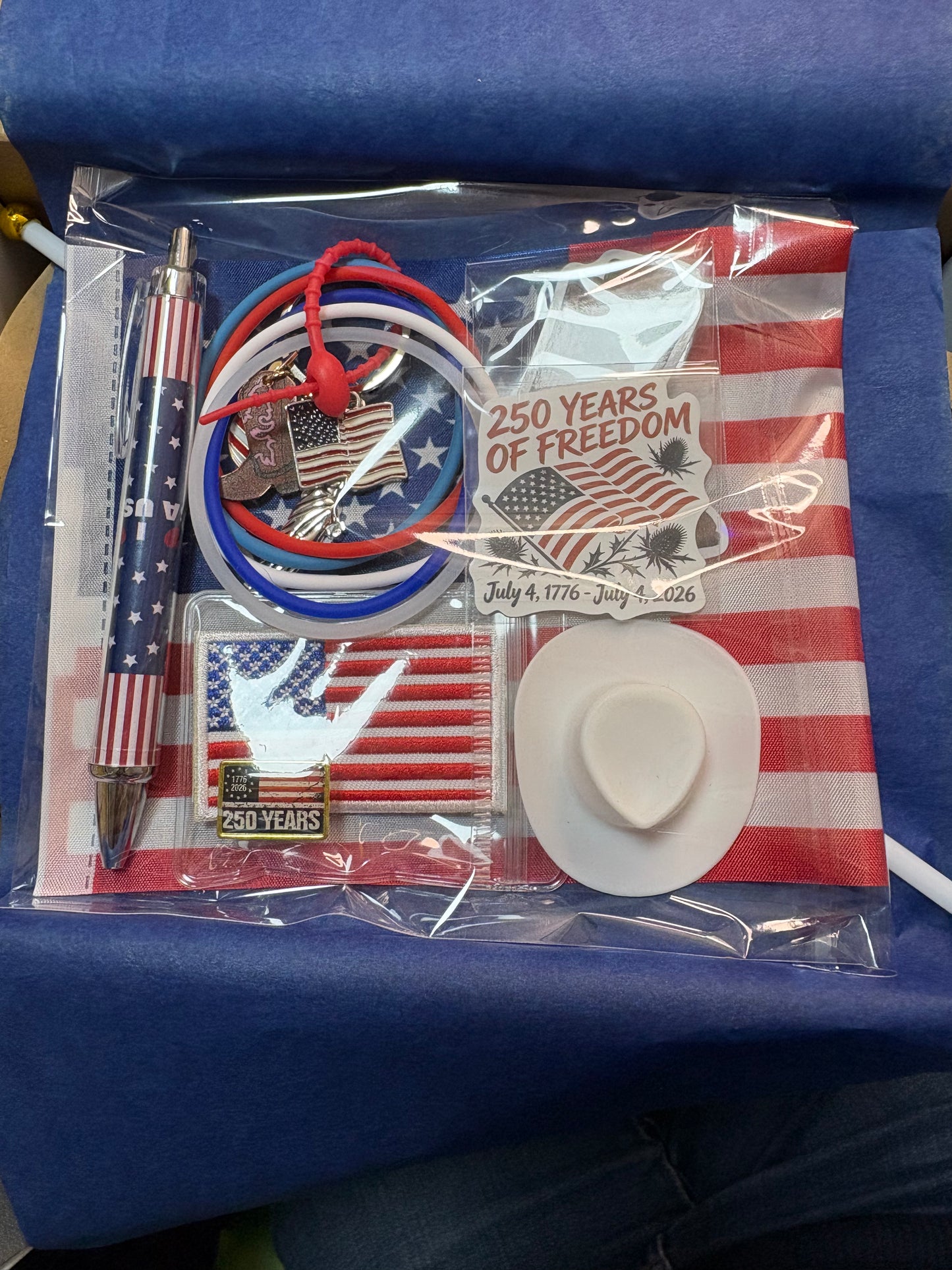 AMERICAN THEME BLEE MINI FLIGHT