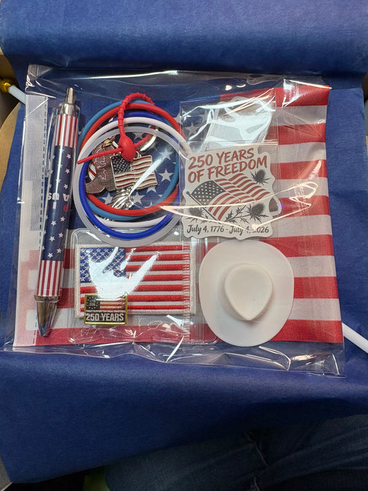 AMERICAN THEME BLEE MINI FLIGHT