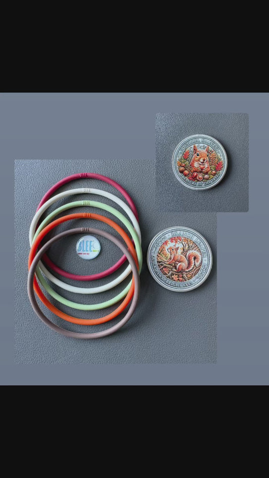 BLEE THEME PACK WITH SQUIRT THE SQUIRREL COIN